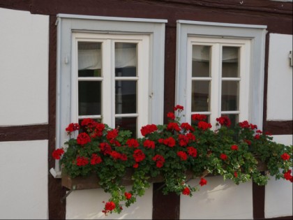 Фото: Alt-Oberurseler Brauhaus